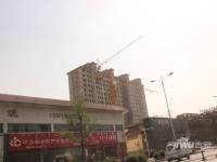 滨河金典商住花苑实景图1