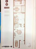 昊业·忆江南0室2厅1卫265㎡户型图