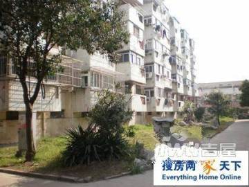 沙中一村