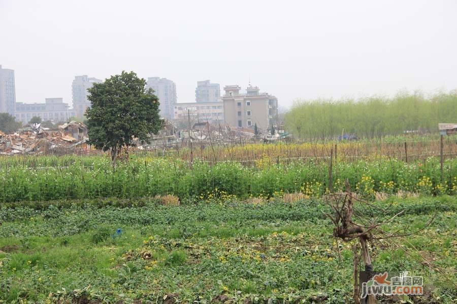 众安白马御府实景图图片