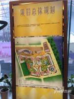世纪江尚规划图图片