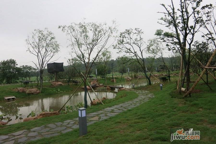 联投花山郡别墅实景图图片