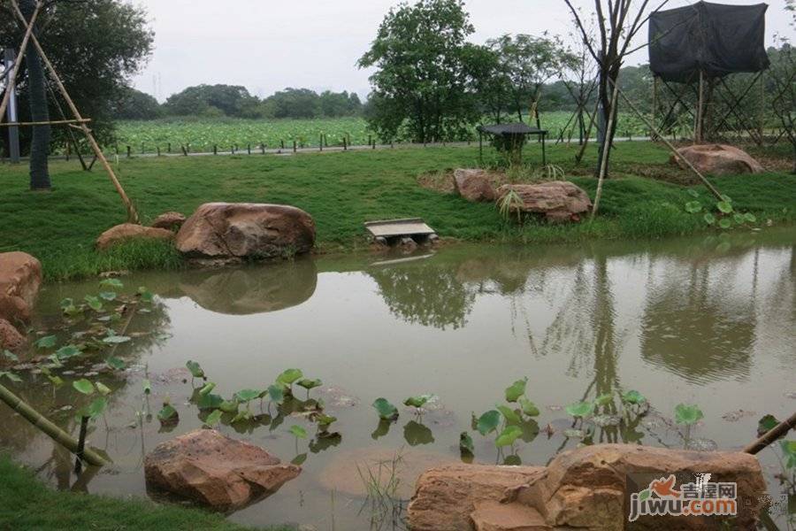 联投花山郡别墅实景图图片