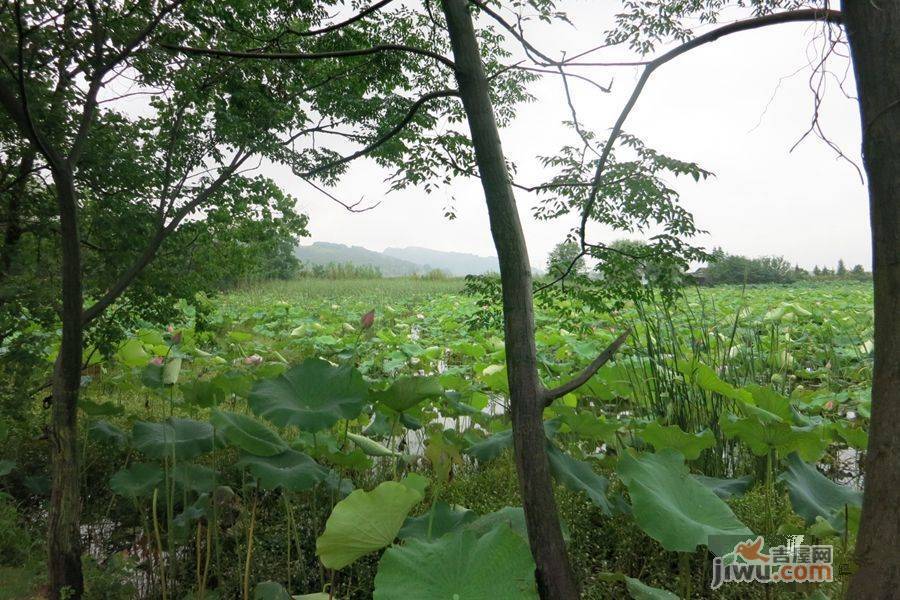 联投花山郡别墅实景图图片