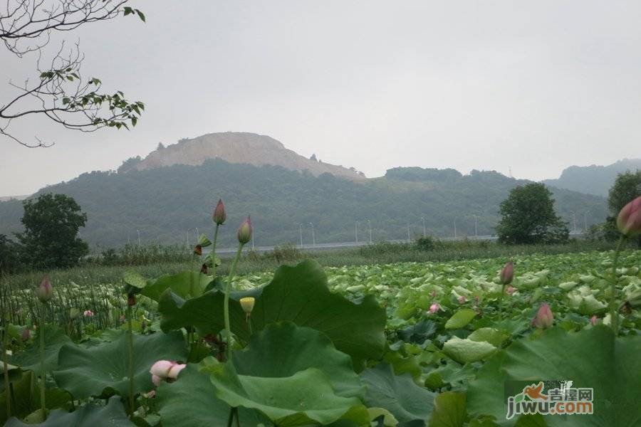 联投花山郡别墅实景图图片