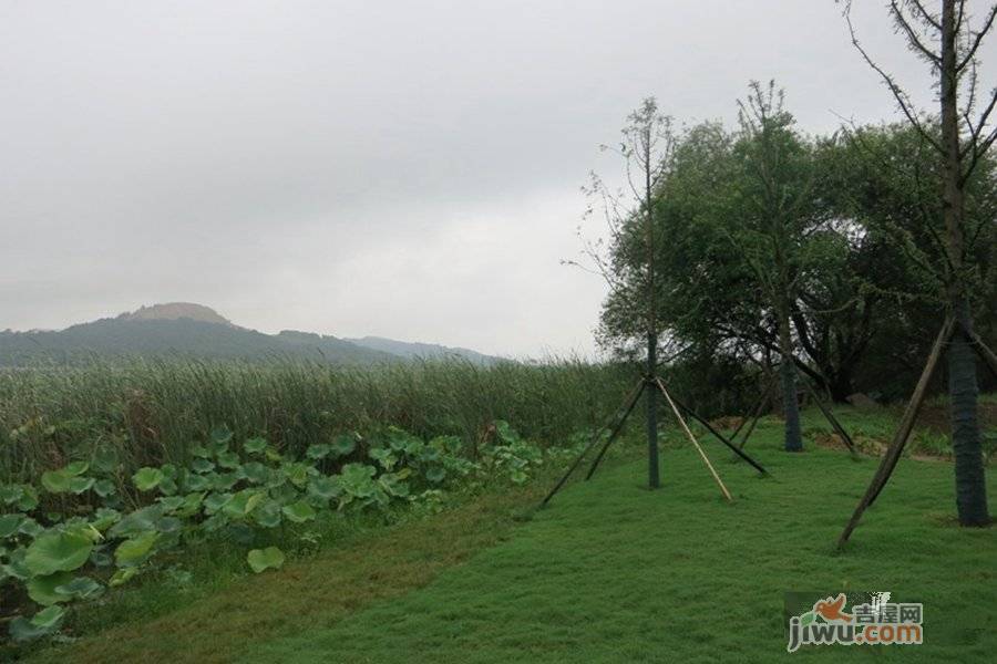 联投花山郡别墅实景图图片