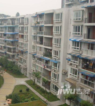 青果花苑实景图图片