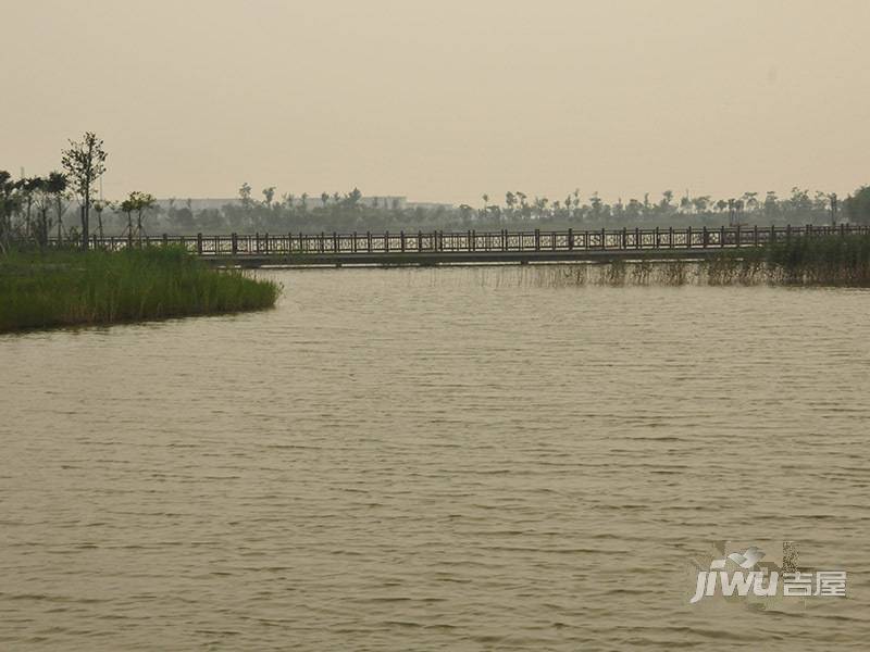 海泰渤龙湖总部经济区配套图59