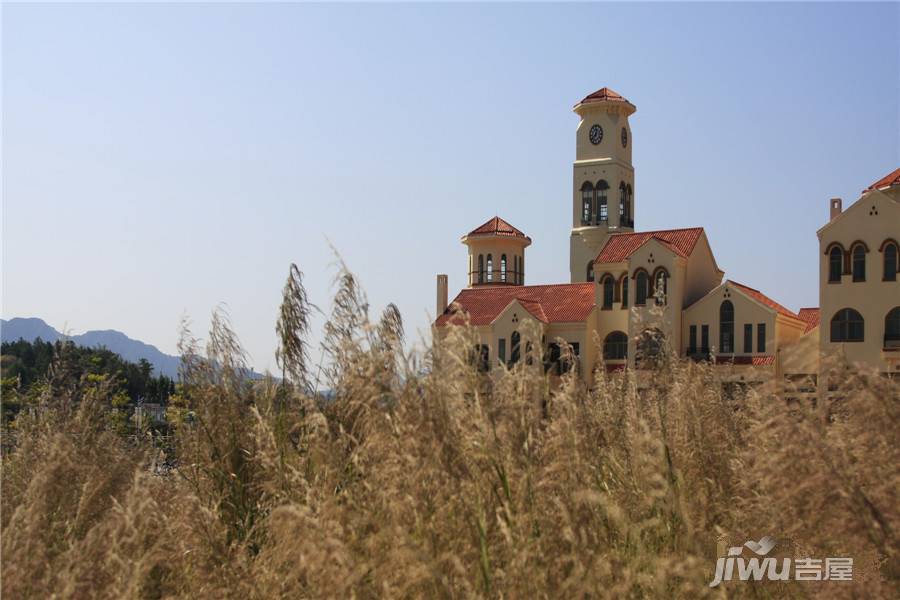 佛冈奥园温泉别墅实景图图片