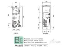 敏捷伊顿公馆1室2厅2卫49㎡户型图