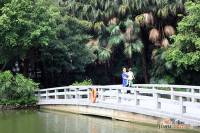 丽江花园如英居配套图图片