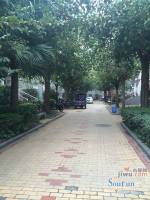 桂溪花园实景图图片