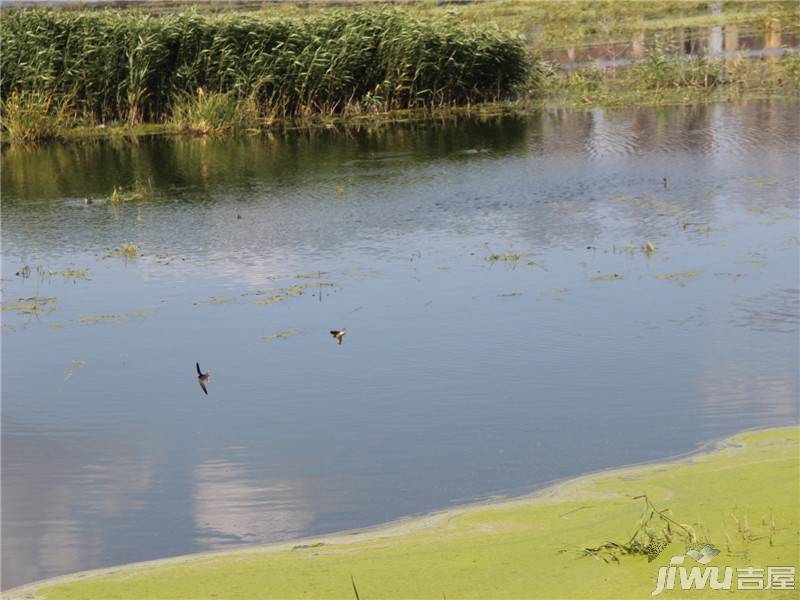 凯德俪锦城西湖叠院实景图图片