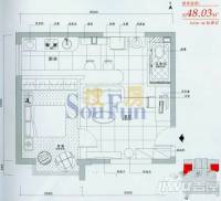 格林自由城实景图图片