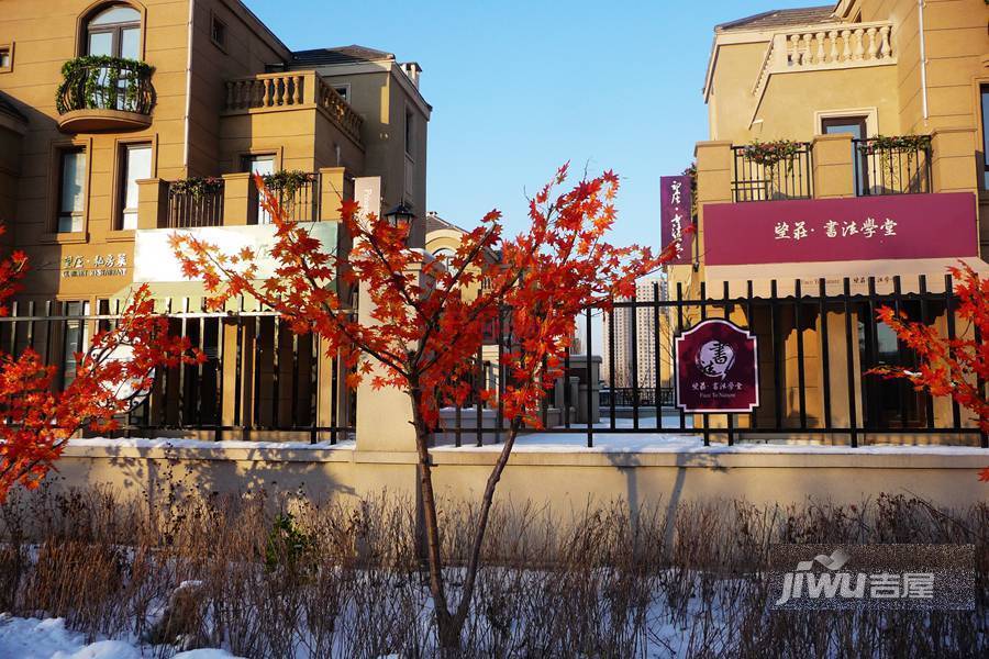 郡原美村实景图图片