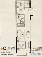 邦泰泊寓1室1厅1卫53㎡户型图