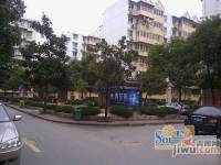 中江新村西区实景图图片
