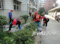 罗家闸小区实景图图片