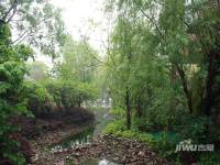 地大橡树园实景图图片