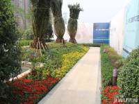 锦江国际花园实景图图片
