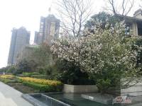 锦江国际花园实景图图片