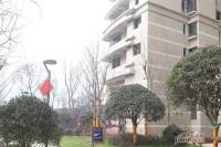 嘉年华青年城smart公寓实景图图片