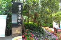 蓝光COCO国际商铺实景图图片