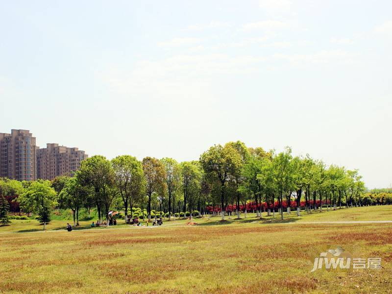 新柏居实景图图片