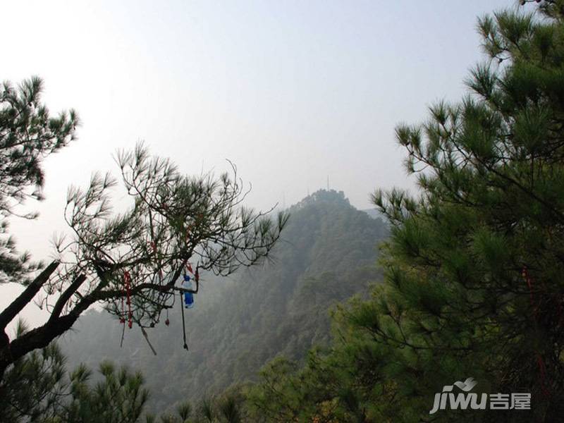 光亮阳光华府实景图图片