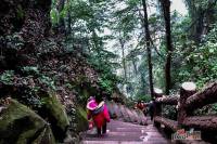 横山观岭配套图图片