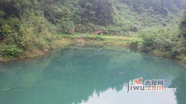 枕泉翠谷实景图图片