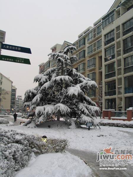 香江花城御花苑实景图图片