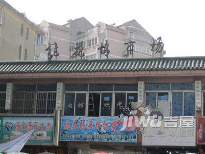 桃花坞六区配套图图片
