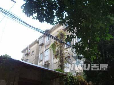 桃花坞四区实景图图片