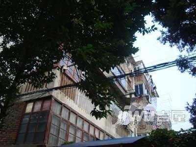 桃花坞四区实景图图片
