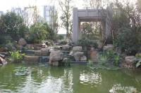 红豆香江豪庭实景图图片