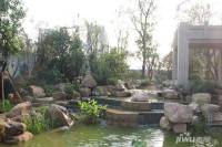 红豆香江豪庭实景图图片