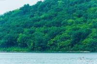 瑞安翠湖山实景图11