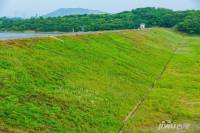 瑞安翠湖山实景图图片