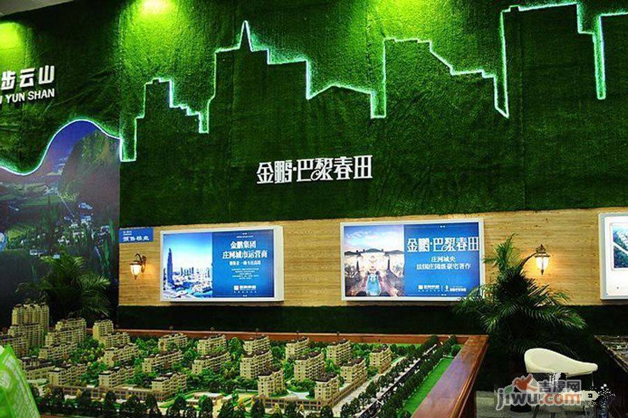 金鹏巴黎春田实景图图片