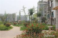 浦东国际花园实景图图片