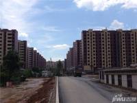 新柳城实景图图片