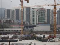 金地阳光实景图图片