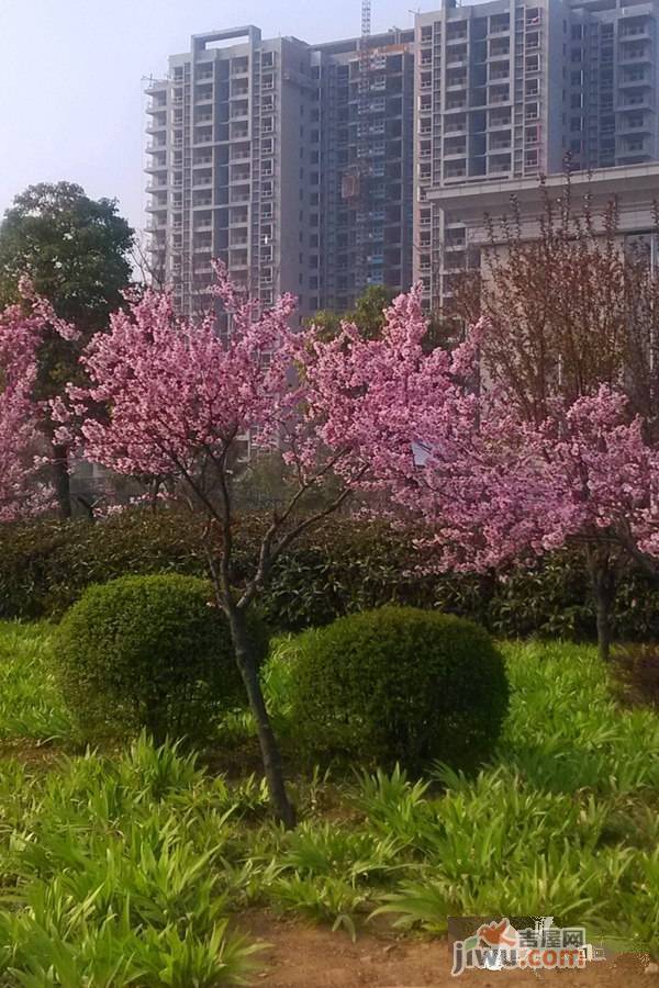 优山美地实景图图片