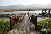鹭湖国际养生度假区实景图4