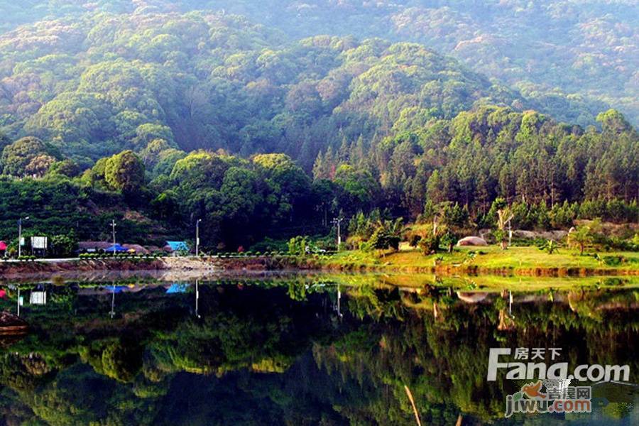 阳光映像实景图图片