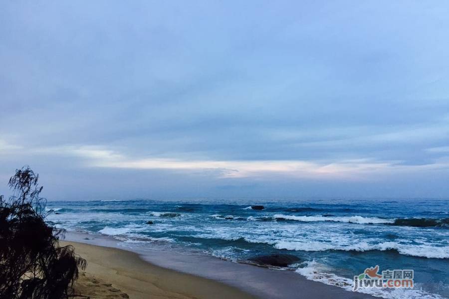 海南万紫花苑实景图图片