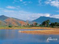 信基颐和湾实景图图片