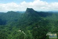 信基颐和湾实景图图片