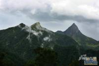 信基颐和湾实景图图片